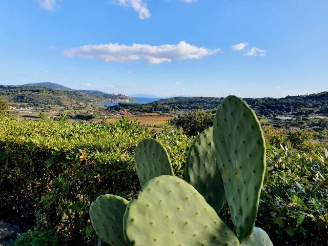 appartamento Isola d'Elba